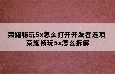 荣耀畅玩5x怎么打开开发者选项 荣耀畅玩5x怎么拆解